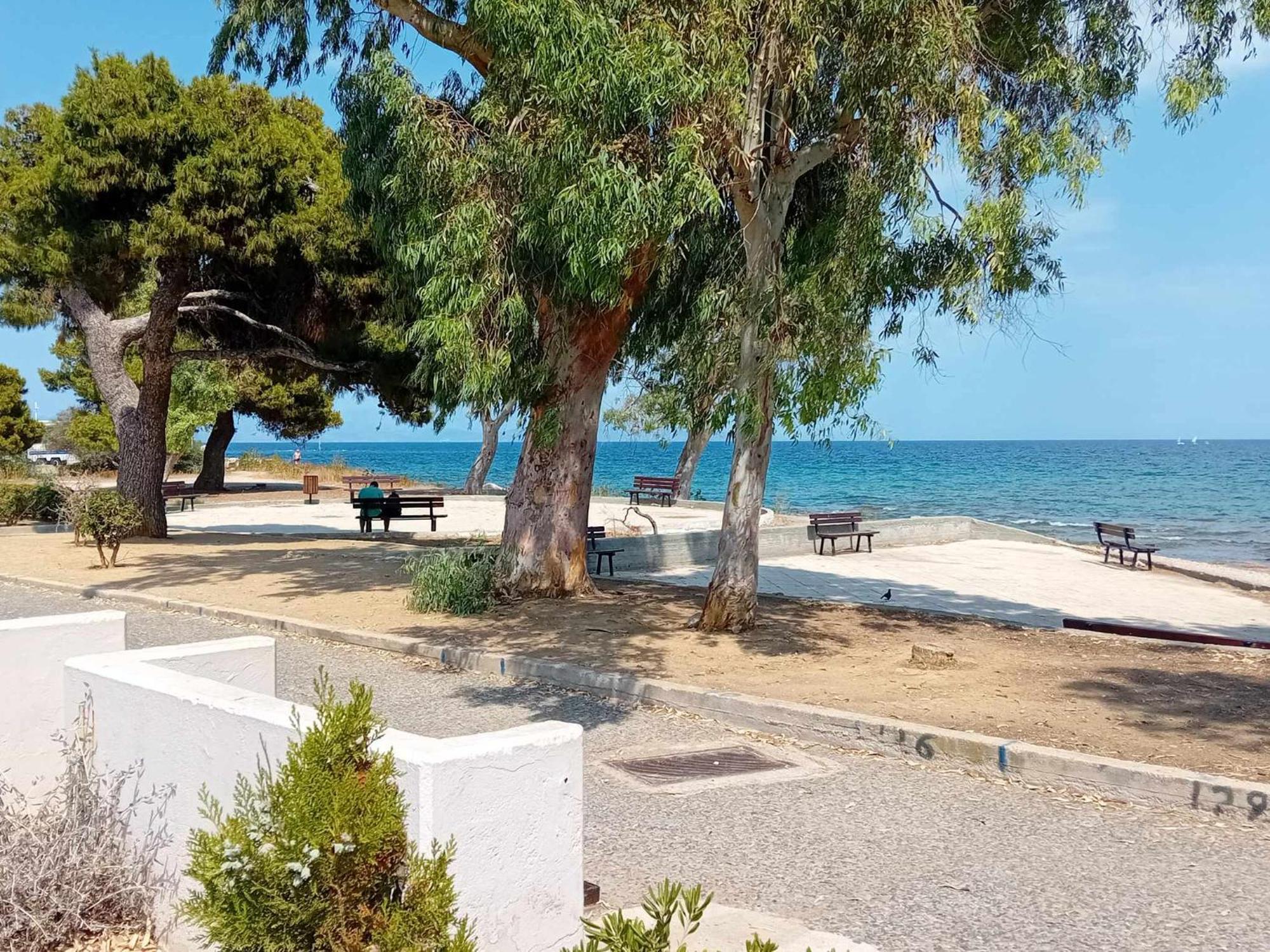Catherine's House * Αρτέμιδα